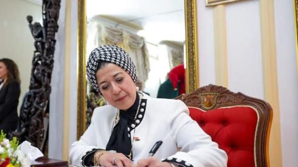 السفيرة ميادة عصام عبد الرحمن، سفيرة مصر لدى زامبيا
