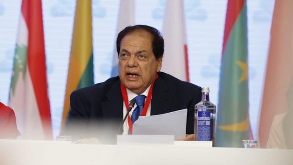 النائب محمد أبوالعينين