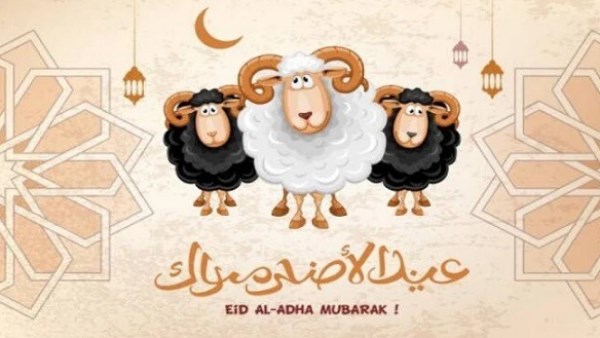9 أفكار لديكور عيد الأضحى 2025.. لمسات بسيطة بأقل التكاليف