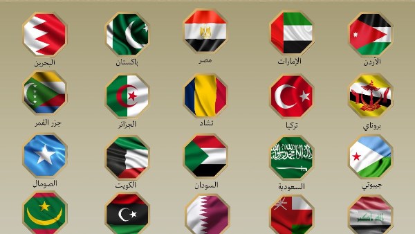 رفض الاعتداءات الإسرائيلية ضد إيران.. مصر و19دولة إسلامية يطالبون بإخلاء المنطقة من الأسلحة النووية