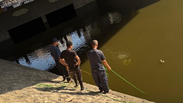 الإنقاذ النهري يبحث عن جثة طفل غرق بالنيل بالصف