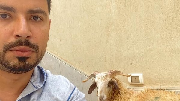 الفنان محمد أنور 