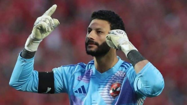 الشناوي 