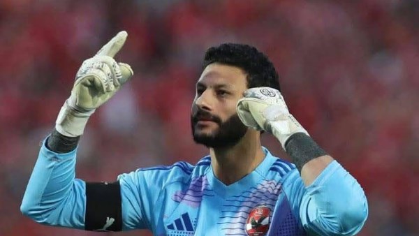 محمد الشناوي 