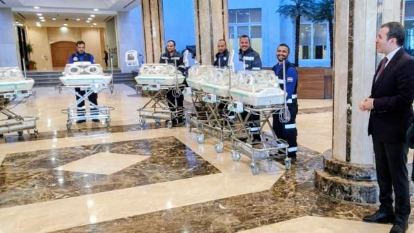 الدكتور عمرو رشيد 