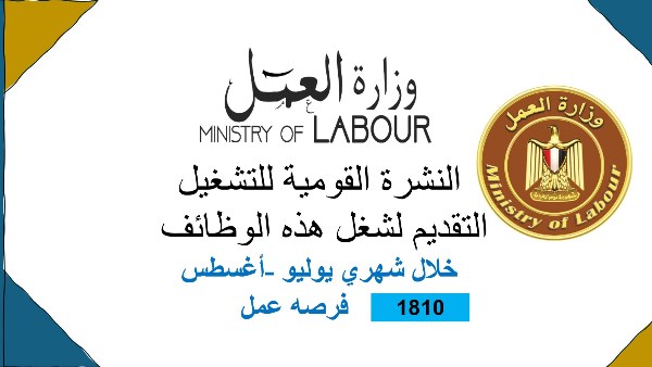 فرص العمل المتاحة 