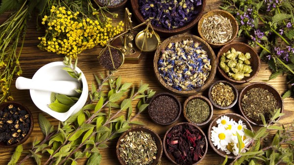 العلاج بالأعشاب