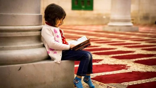 البداية في قنا| ننشر تفاصيل خطة تعليم تلاميذ رياض الأطفال في المساجد