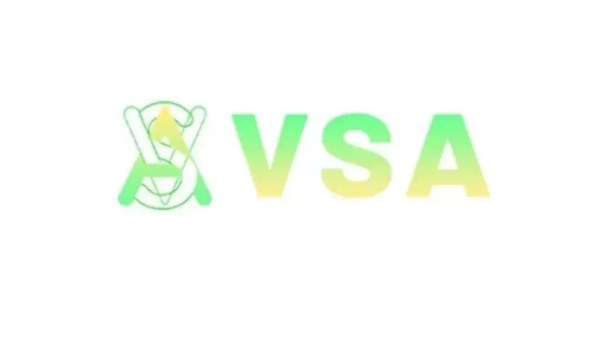 VSA 