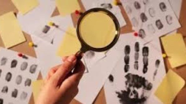 نشرة المرأة والمنوعات   
