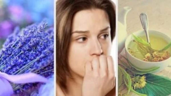 5 أعشاب فعالة لعلاج التوتر 