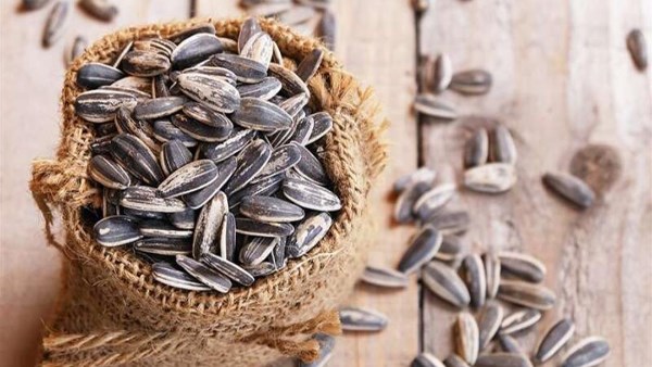 فوائد وأضرار تناول اللب بأنواعه لصحة الجسم 