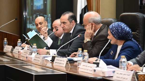  المستشار محمود فوزي