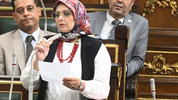 النائبة نجلاء العسيلي