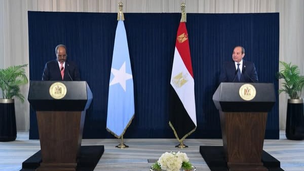 الرئيس الصومالي والرئيس السيسي