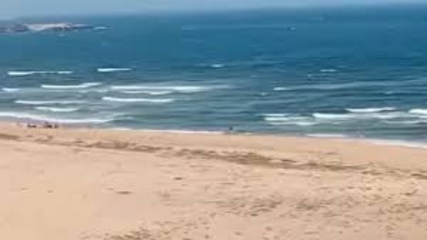 أرشيفية