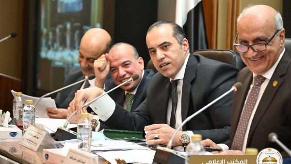  المستشار محمود فوزي
