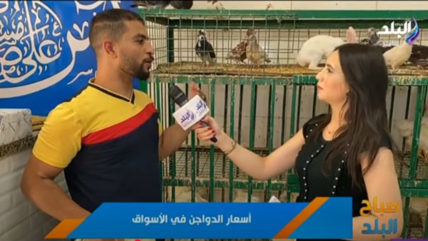 الزميلة ماهيتاب مختار