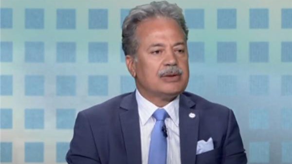 المحامي عصام شيحة، رئيس المنظمة المصرية لحقوق الإنسان