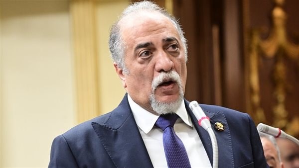  النائب عبد الهادي القصبي - ممثل الأغلبية البرلمانية