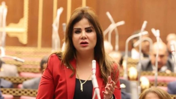 النائبة أمل رمزي، عضو لجنة الدفاع والأمن القومي بمجلس الشيوخ