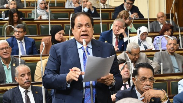 النائب محمد أبو العينين، وكيل مجلس النواب