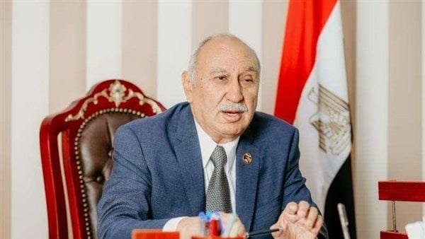 نائب: الرئيس السيسي يساهم في تشكيل مستقبل أفريقيا على أسس التعاون والشراكة
