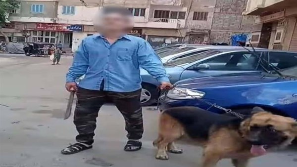 البلطجة باستخدام حيوان