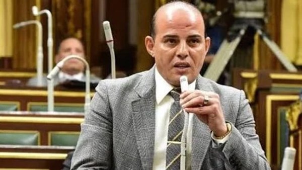  النائب عمرو القطامي - عضو مجلس النواب