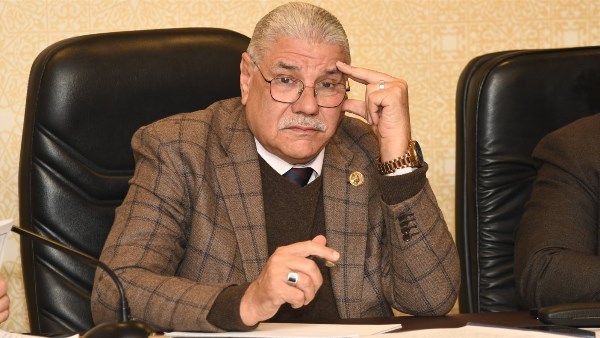 برلماني: توفير الحكومة للسلع بأسعار مناسبة أصبحت من ضروريات الحياة للمواطنين
