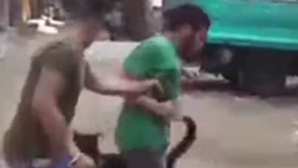شباب يسخرون من معاق بإطلاق كلب شرس عليه