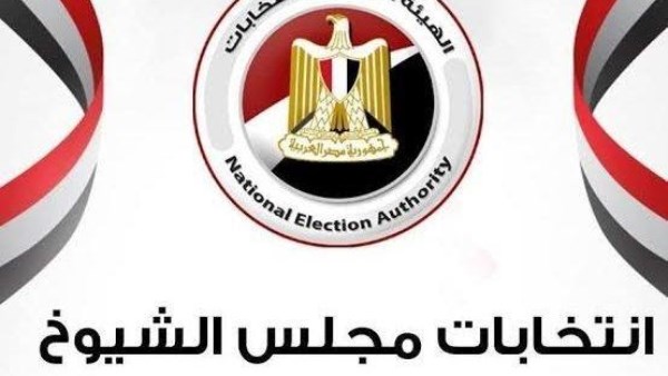نائب للمصريين بالخارج: المشاركة في انتخابات الشيوخ واجب وطني