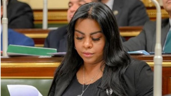 نيفين حمدي، عضو لجنة الشئون الافريقية بمجلس النواب 