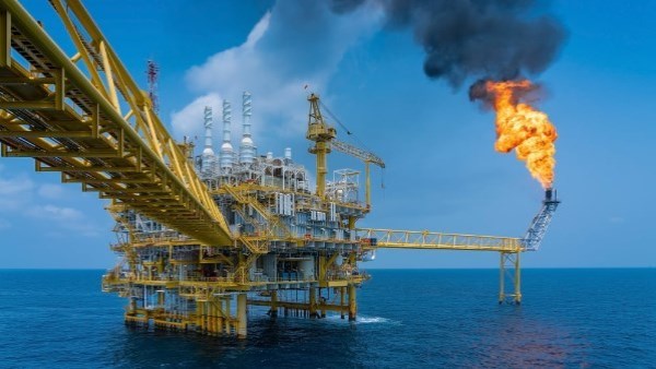 برلمانية: توجيهات الرئيس بتوطين صناعات البتروكيماويات تجذب الاستثمارات المحلية والأجنبية