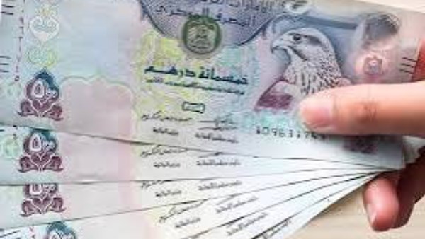 ارشفيه 