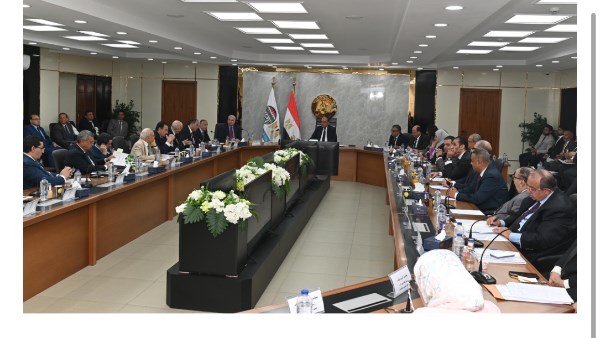 وزير قطاع الأعمال 