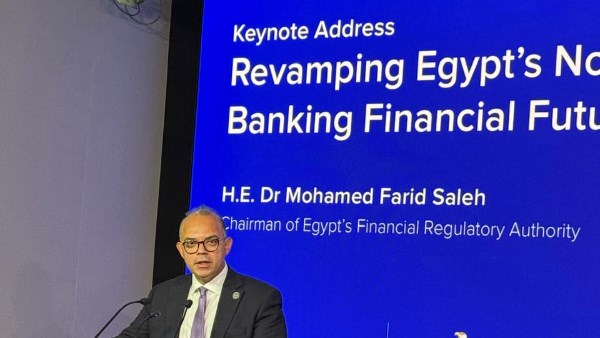محمد فريد: استقرار الأسواق الهدف الأساسي لأي رقيب على القطاع المالي