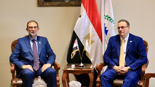 التنظيم والإدارة