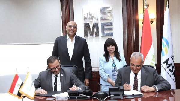 المشروعات المتوسطة والصغيرة