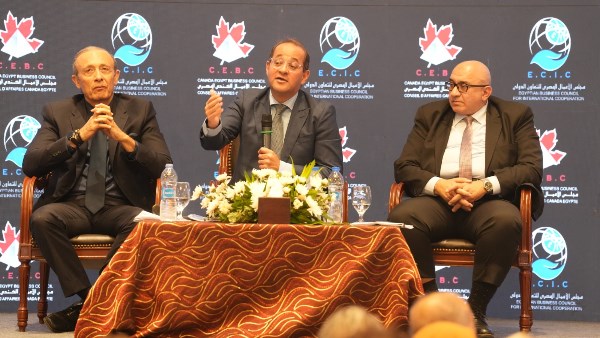 وزير المالية