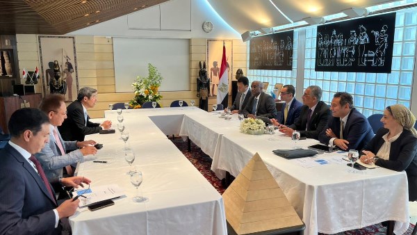 وزير الاستثمار