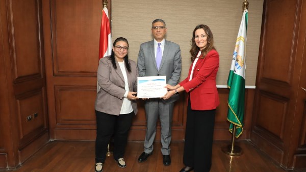 المهندس عادل النجار محافظ الجيزة 