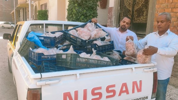 تموين الأقصر يضبط 400 كجم دواجن فاسدة قبل ترويجها بالأسواق والمطاعم
