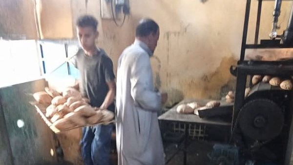 جهود متنوعة 