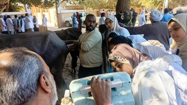 القوافل البيطرية