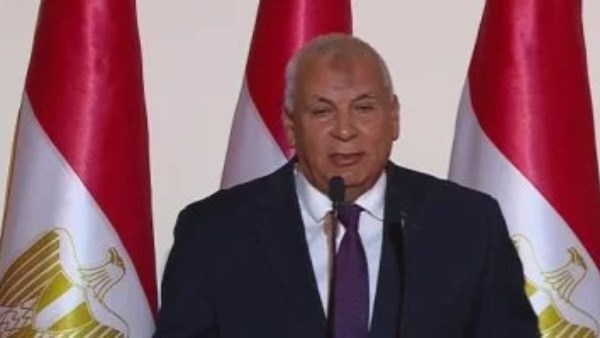 محافظ الوادي الجديد 