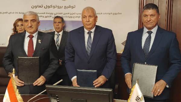 جانب من الحدث