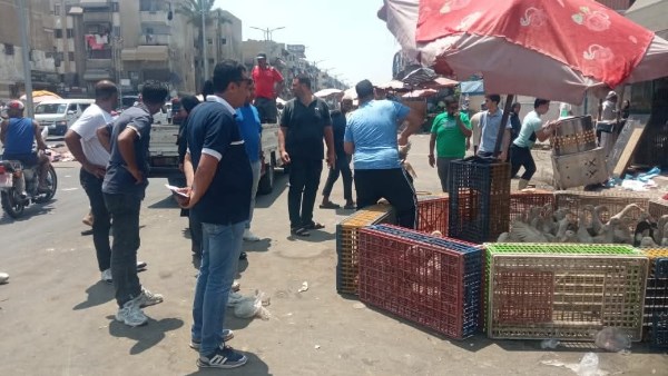 عقب إصابة أحد موظفيه.. رئيس زهور بورسعيد يقود حملة بشارع عبد الحليم محمود