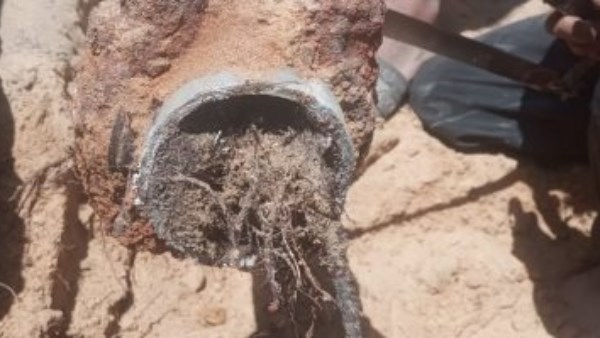 مياه القناة : استخراج جذور الأشجار من شبكة لـ 40 فدان بالقنطرة شرق
