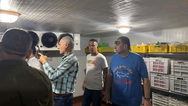 تموين دمياط 